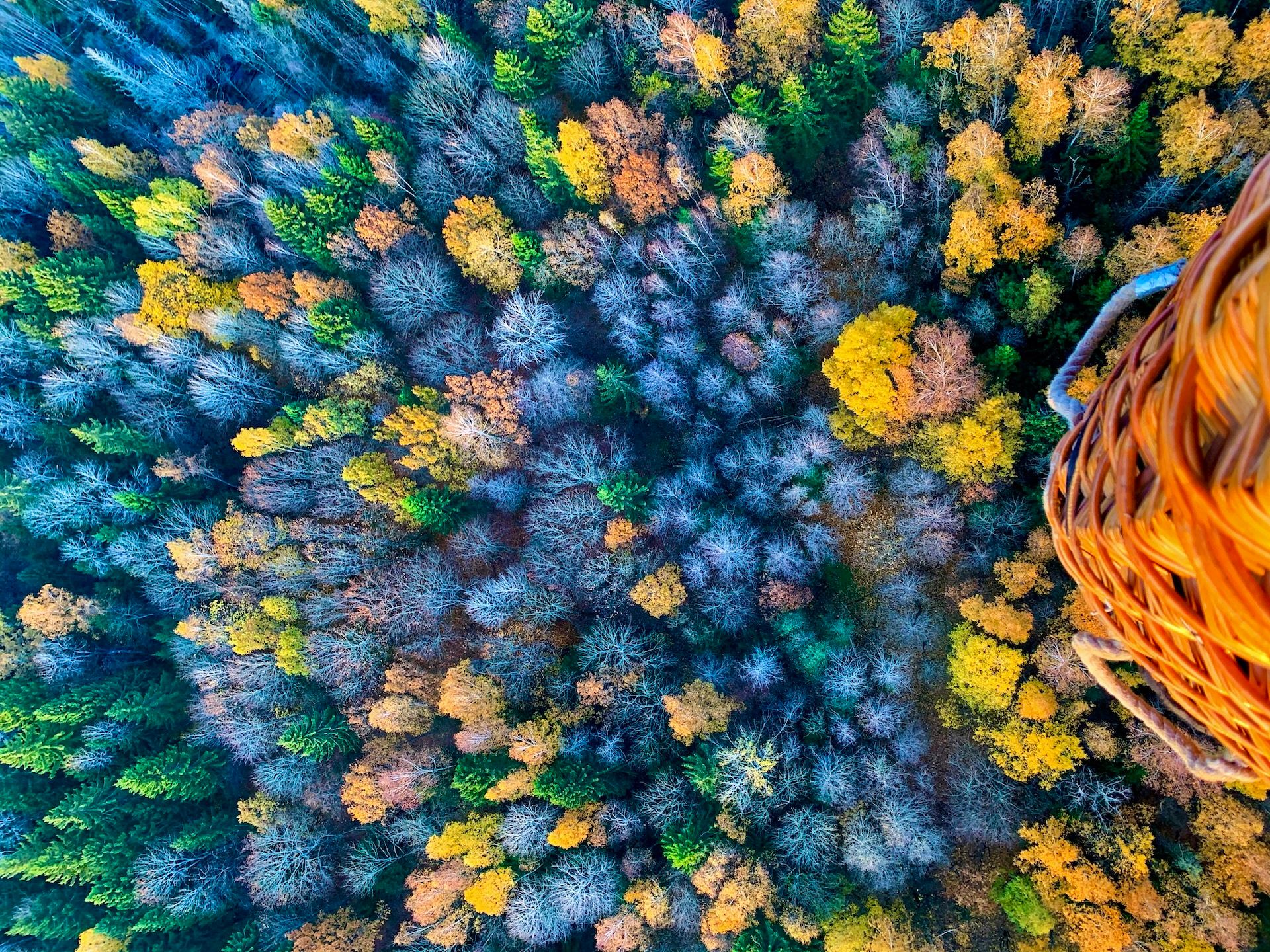 Skrydis virš Jūsų pasirinktos vietos